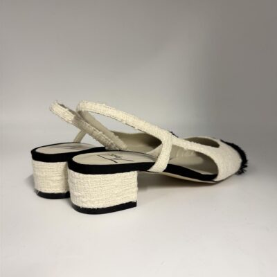 newcollection
