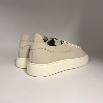 newcollection