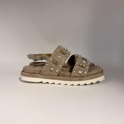 newcollection
