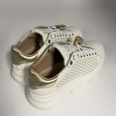 newcollection
