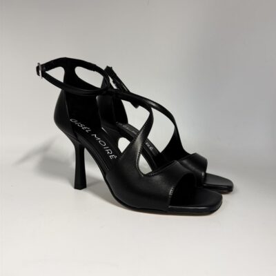 newcollection