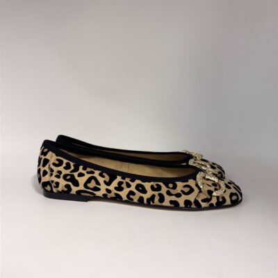 newcollection
