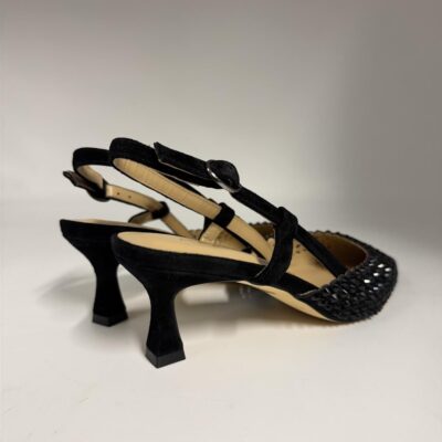 newcollection