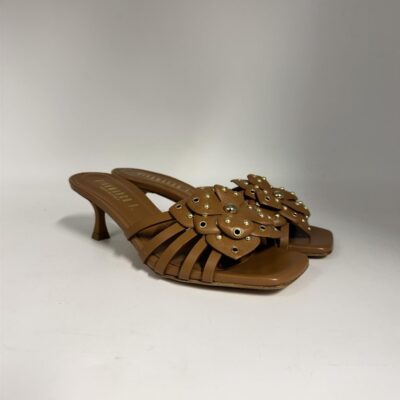 newcollection