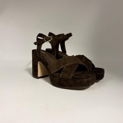 newcollection