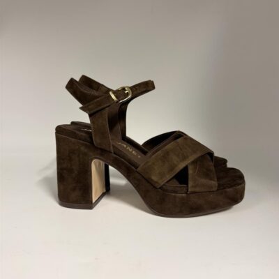 newcollection