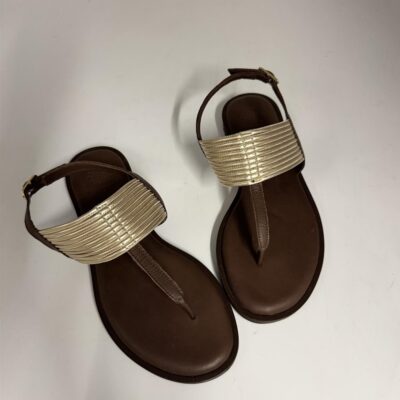newcollection