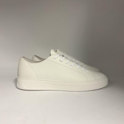 newcollection